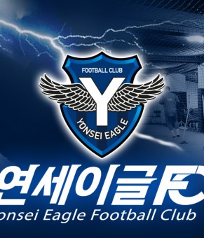 연세이글FC